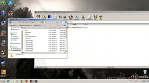 Как установить моды на Сталкер любой версии!