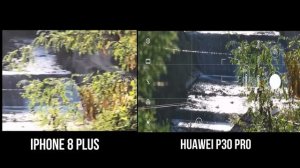 Iphone 8 Plus Vs Huawei P30 Pro | Camera Test