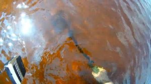 Передача звука на ФМ приемник. Подводный МД Крот Смарт. Underwater metal detector Mole Smart.