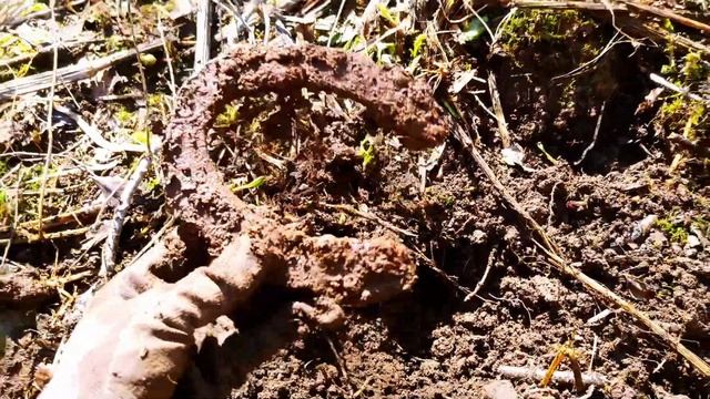 Разведка позиций и фундаментов. Весна 2023 смотреть онлайн