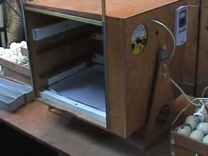 Инкубатор для яиц Поседа: сборка и настройка