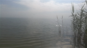 Вся наша жизнь лишь долгая дорога