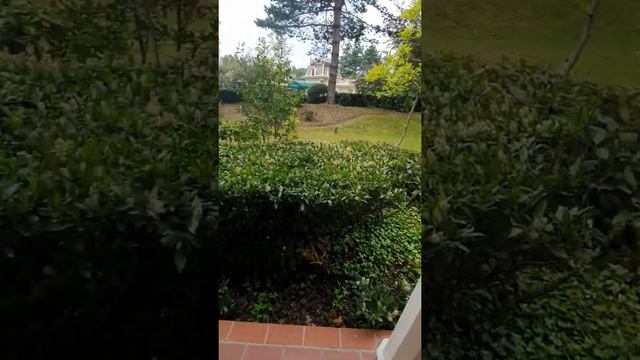 Отель Диснейленд в Париже смотреть онлайн