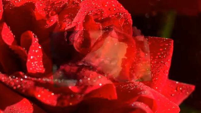 Прекрасные  пожелания!