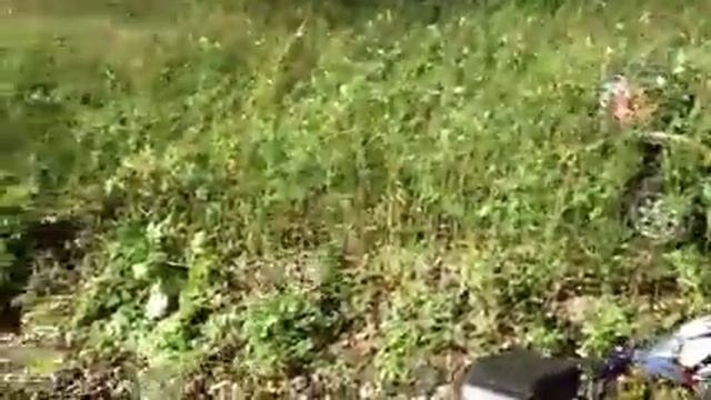 Стелсы в Брянских лесах смотреть онлайн