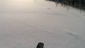 Покатушки на длинном и коротком Буранах, лес / болото / классный солнечный денек на севере Сибири !