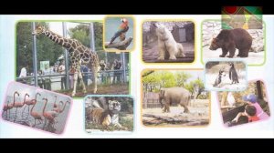 Окружающий мир 1 класс ч.2, Перспектива, с.26-27, тема урока "В зоопарке"
