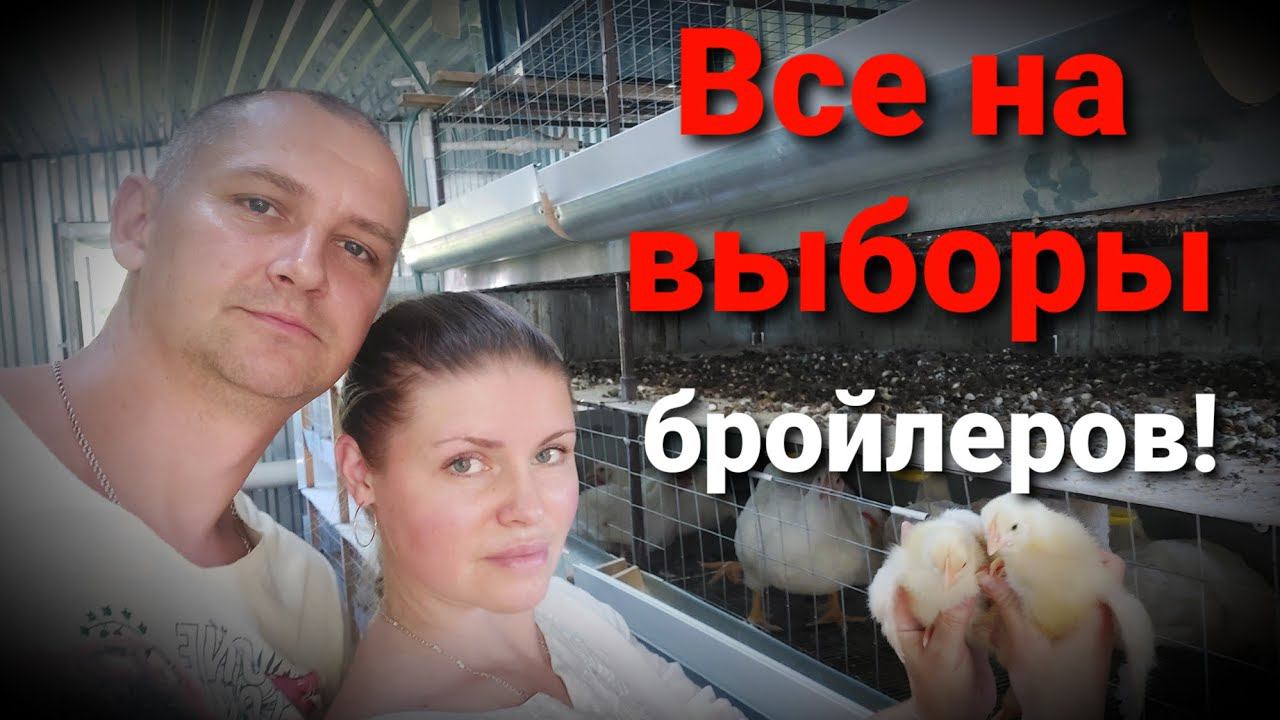 КОГО ВЫБРАТЬ? / РОСС - 308 ИЛИ КОББ - 500? / КАКАЯ РАЗНИЦА? смотреть онлайн