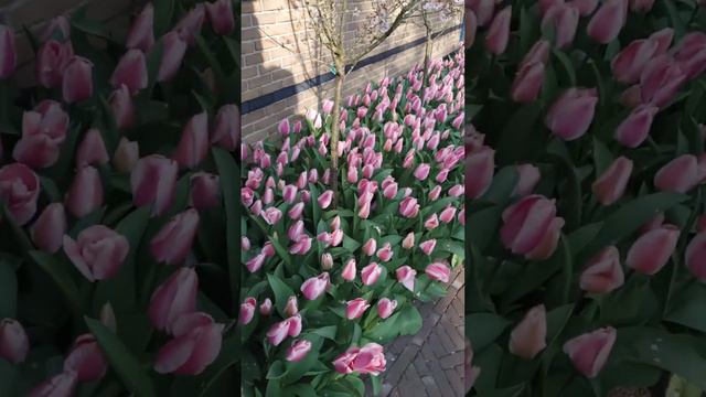 20 июня 2023 г. смотреть онлайн