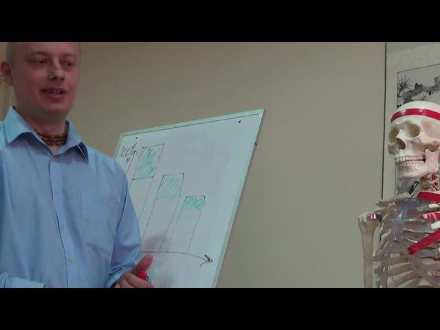 Семинар остеопатия МИОФАСЦИАЛЬНЫЕ ЦЕПИ МФЦ_51 смотреть онлайн