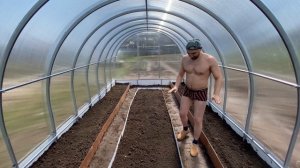 Обзор современной теплицы. Купить теплицу. Огурцы в теплице.