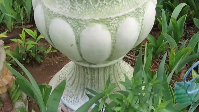 Garden Scroll  2018 May Planting