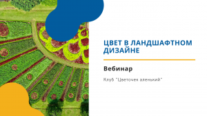 Клуб "Цветочек аленький": Цвет в ландшафтном дизайне