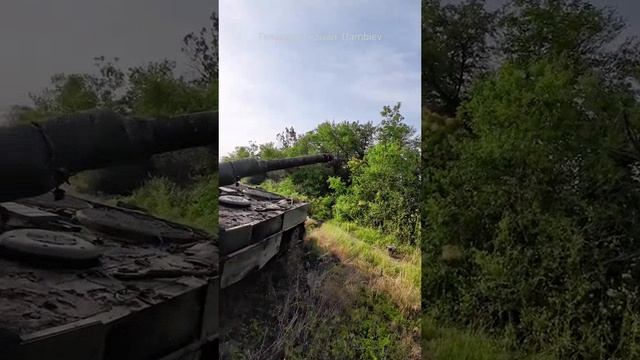 Еще один уничтоженный украинский танк Leopard 2A4 немецкого производства на Запорожском направлении.