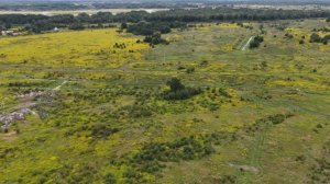 Калининград, поселок Холмогоровка