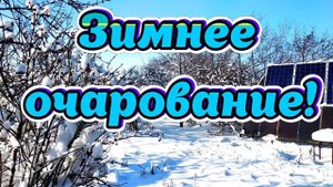 Зимнее очарование!