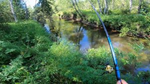 Рыбалка в жару хариуса на лесной речке