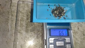 реле из ГДР RGI TGL 200-3796 RFT подозрения на МПГ