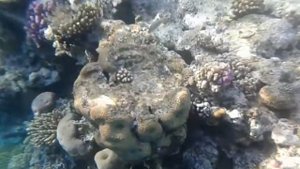 лучший отдых зимой Египет в январе новый год на море