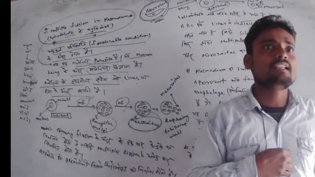 multiple fission in plasmodium(plasmodiumमे बहुविखंडन)merozoit,sporozoit,sporogemy schizoint12th bi смотреть онлайн