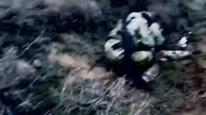 Под Крынками наши бойцы взяли в плен наемыша из польши. Хохлы сбежали, бросив его подыхать,