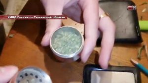 Нарколабораторию с плантацией в трехкомнатной квартире обнаружили в Тюмени