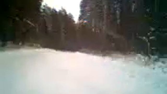 Зимний лес, дорога на Новокрающкино. смотреть онлайн