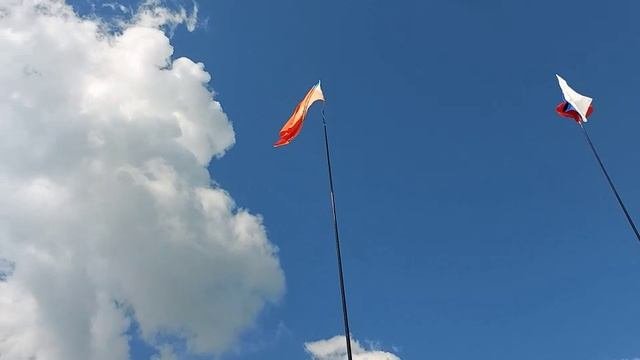 РОССИЙСКИЕ студенческие отряды.