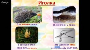 Русский язык 1 класс 32 неделя. Однозначные и многозначные слова