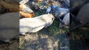 После дождей!!!!!!!!!!!!!!!!!