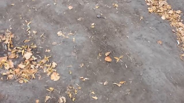 Копченые окуни по-Щучински