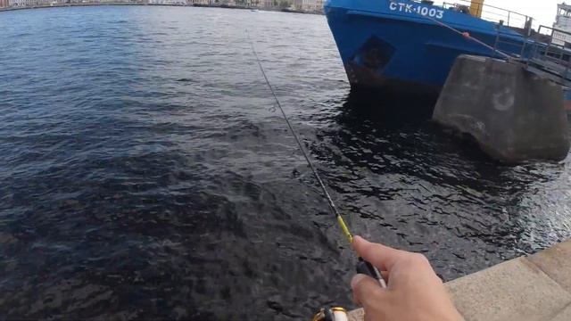 #179 Black Adder BA562XUL-S-20 (0.5-1.2гр.) Slow смотреть онлайн