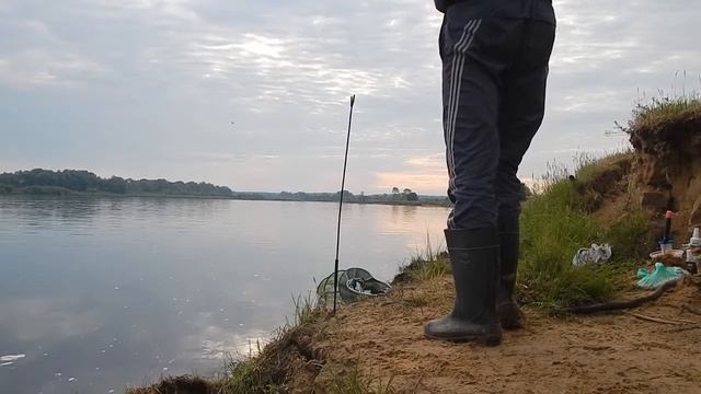 Рыбалка на Днепре в Беларуси, рыбалка на Фидер