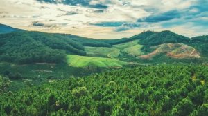 ЖЕНА БЫЛА ШОКИРОВАНА ЗАСТУКАВ МУЖА С МОЛОДЕНЬКОЙ ЛЮБОВНИЦЕЙ МУЖ ЕЩЁ НЕ ЗНАЛ КАК ПОЖАЛЕЕТ ОБ ЭТОМ..