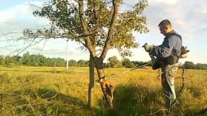 STIHL FS 450