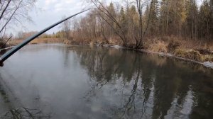 Ловля хариуса в межсезонье или жрать захочешь-не так раскорячишься.