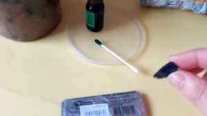 Чем обрабатывать срезы у орхидей? Зеленка- вред или польза.