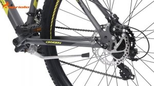 Велосипед CAPRIOLO MTB OXYGEN [920425], колёса 29'' (серебристый-зелёный)