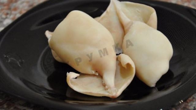 Варим кальмары