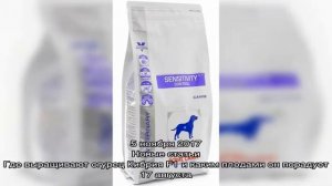 Линейка кормов Роял Канин для собак и как выбрать подходящий вариант