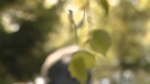 Vacuum  Nuclear India