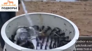 Ощип гуся в перосъемной машине