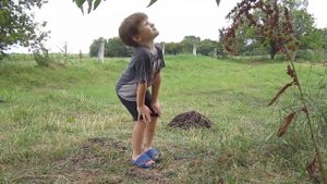 шелковица или тутовник?)))