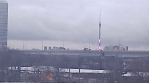 Без названия