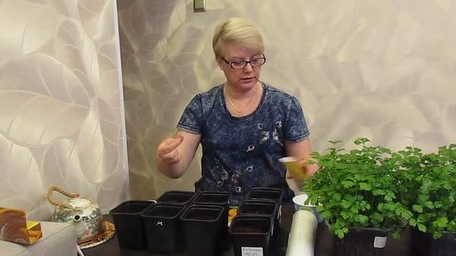 Посев семян кабачков и патиссонов на рассаду.06.04.2020