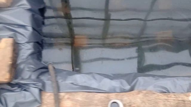 Бассейн в теплице смотреть онлайн