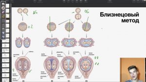 Виды близнецов и близнецовый метод в генетике | Биология ЕГЭ