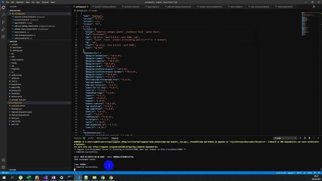Angular - Запуск приложения, Отладка (Debug) и Анализ кода в Visual Studio Code