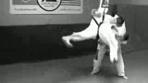 ДЖИУ-ДЖИТСУ (80 ТЕХНИК САМООБОРОНЫ)