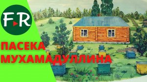 Среднерусская порода пчёл. Пасека в лесу. Пчеловод Мухамадуллин Саид. Пчеловодство Татарстана.